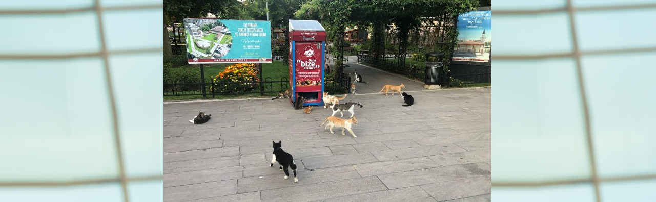 https://timtasautomat.com.tr/wp-content/uploads/2024/09/Fatih.png