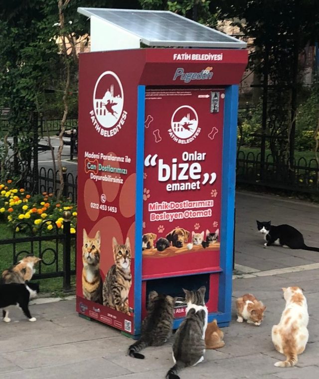 https://timtasautomat.com.tr/wp-content/uploads/2026/05/302b-640x761.jpeg