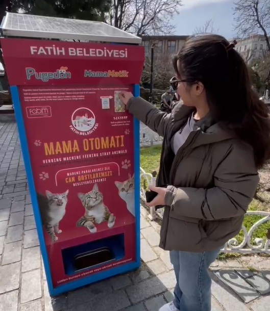 302d https://timtasautomat.com.tr/wp-content/uploads/2026/05/302d.png